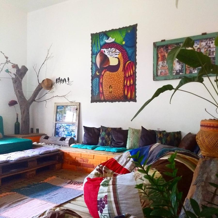 Katsbarnea Hostel Florianópolis 외부 사진